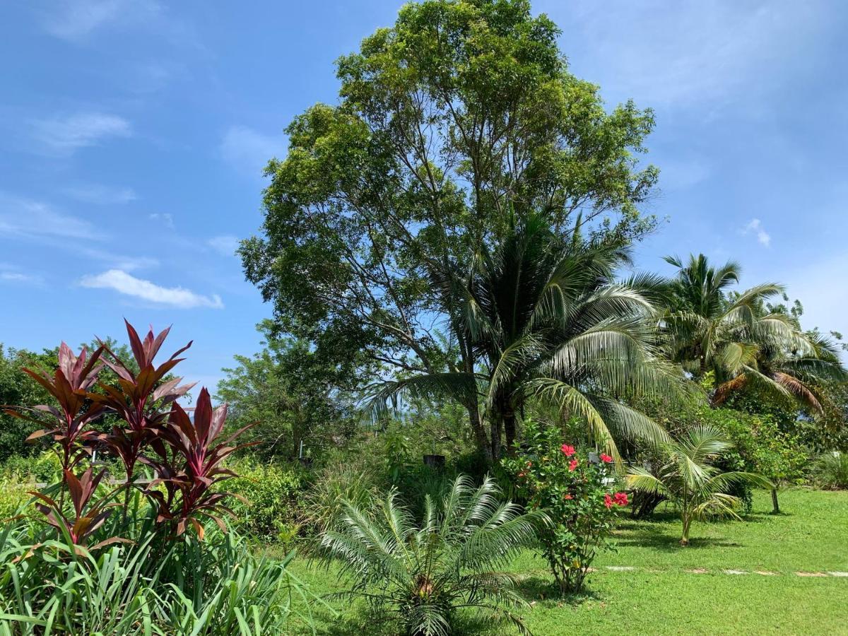 פנתאי צנאנג Lovely Garden Villas מראה חיצוני תמונה
