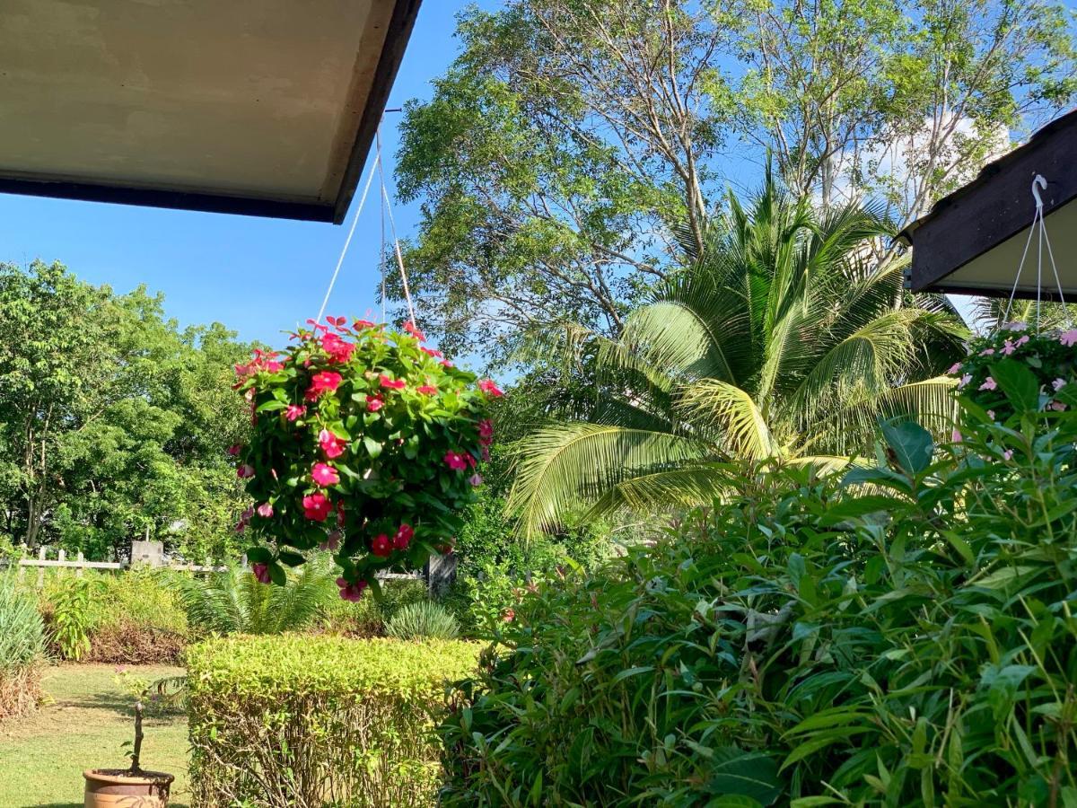 פנתאי צנאנג Lovely Garden Villas מראה חיצוני תמונה